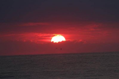 IMG_1633.jpg IMG_1633.jpg