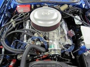 IMG_0560.jpg IMG_0560.jpg