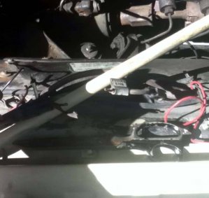 IMG_6791.JPG IMG_6791.JPG