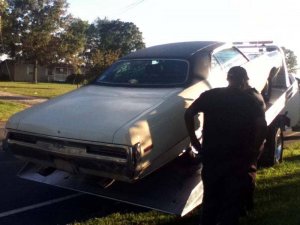 IMG_6803.jpg IMG_6803.jpg