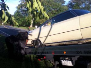 IMG_6807.jpg IMG_6807.jpg