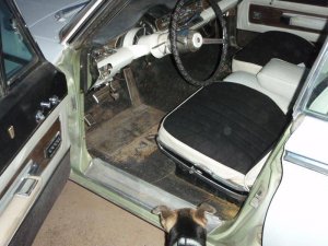 P9220008.jpg P9220008.jpg