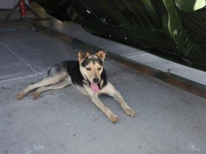 P5110023.jpg P5110023.jpg