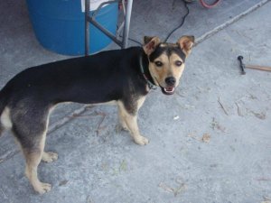 P7190003.jpg P7190003.jpg