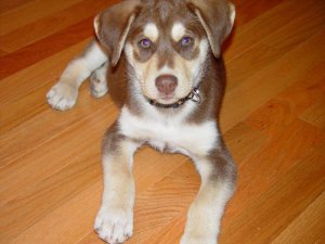 DSC00918.jpg DSC00918.jpg