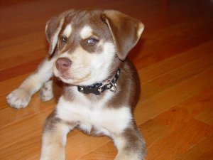 DSC00917.jpg DSC00917.jpg