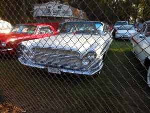 DSCN0958 (1024x768).jpg