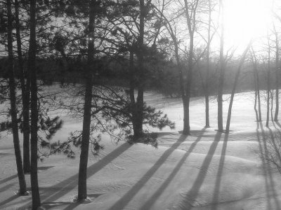 B&W Shot A.jpg B&W Shot A.jpg