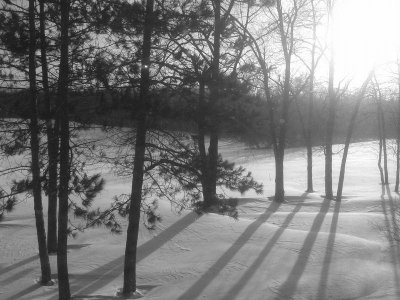 B&W Shot B.jpg B&W Shot B.jpg