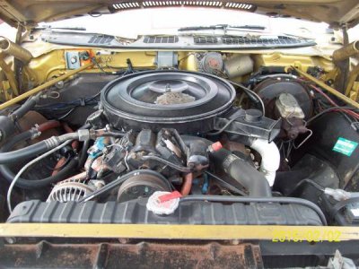 00d0d_6gPqtyjk32Q_600x450.jpg 00d0d_6gPqtyjk32Q_600x450.jpg