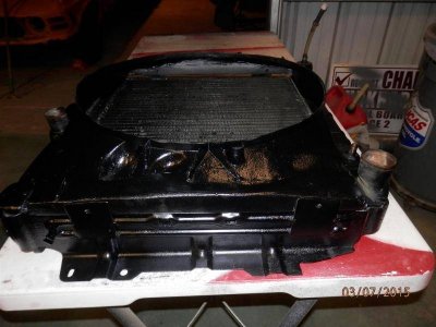 P3070075 (2) (Large).jpg P3070075 (2) (Large).jpg