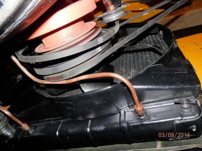 P3080077 (Large).jpg P3080077 (Large).jpg