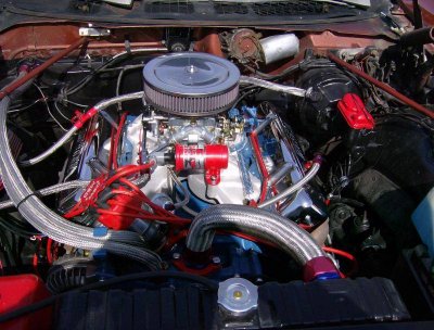 Polara 2013 march 007.jpg