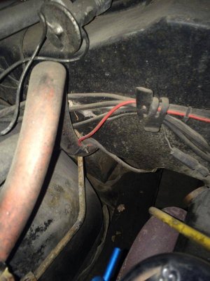 IMG_0830.jpg IMG_0830.jpg