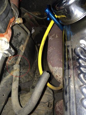 IMG_0833.jpg IMG_0833.jpg