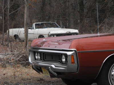 187134 & 210383 2011 (4).jpg