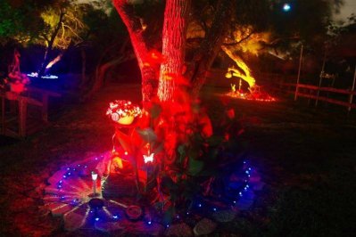 545018_3276616716410_494316832_n (Large).jpg