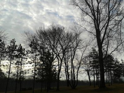 2015-04-03+08.21.13.jpg 2015-04-03+08.21.13.jpg