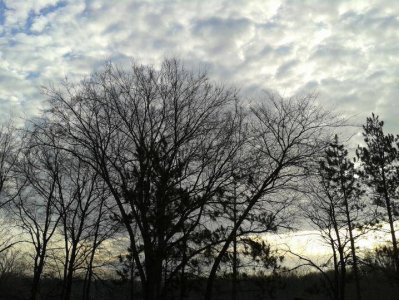 2015-04-03+08.21.44.jpg 2015-04-03+08.21.44.jpg