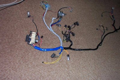 100_3010.jpg 100_3010.jpg