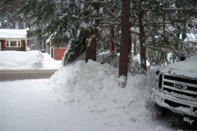 2015-02-11 015.jpg 2015-02-11 015.jpg