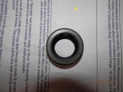 P5050002 (Large).jpg