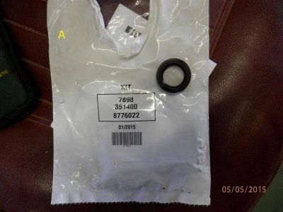 P5050003 (Large).jpg