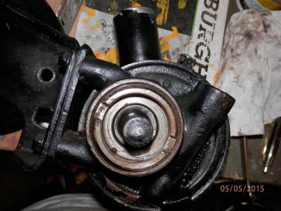 P5050004 (Large).jpg