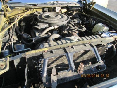 $_27 (4).JPG $_27 (4).JPG