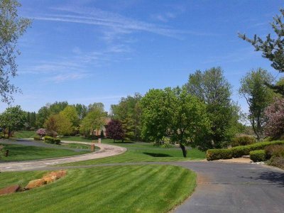 Front Spring 2015.jpg Front Spring 2015.jpg