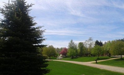 Front Spring 4 - 2015.jpg Front Spring 4 - 2015.jpg