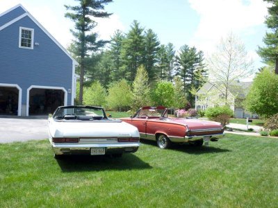 rear view 2015.jpg rear view 2015.jpg