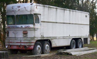 what is this.jpg what is this.jpg