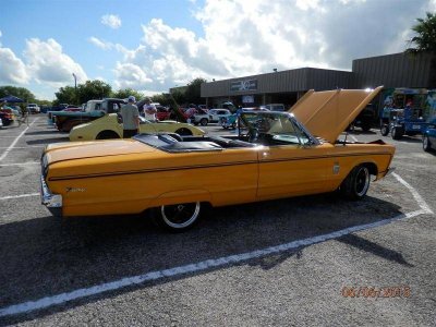 P6060003 (Large).jpg P6060003 (Large).jpg