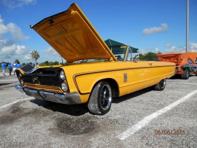 P6060004 (Large).jpg P6060004 (Large).jpg