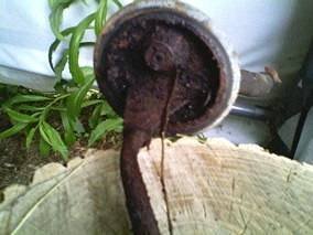 scan2166 (1).jpg scan2166 (1).jpg