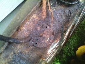 I1433797531 (1).JPG I1433797531 (1).JPG