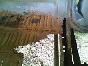 I1433797386.JPG I1433797386.JPG