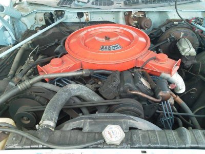 IMG_20150615_121506.jpg IMG_20150615_121506.jpg