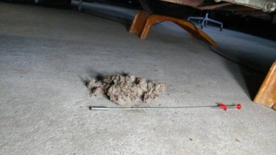 20150616_145248.jpg 20150616_145248.jpg