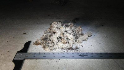 20150616_155628.jpg 20150616_155628.jpg