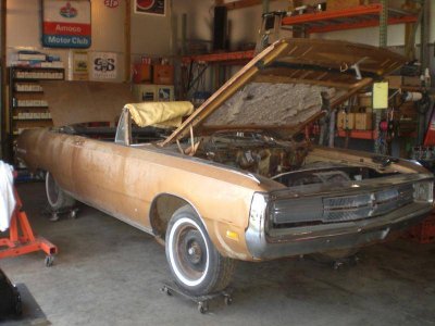 CIMG9313.jpg CIMG9313.jpg