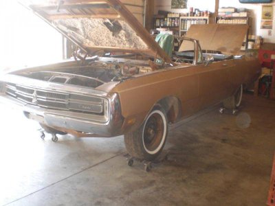 CIMG9315.jpg CIMG9315.jpg