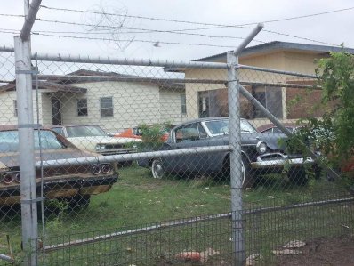 20150618_102755.jpg 20150618_102755.jpg