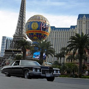 Caddy@Vegas (Small).JPG