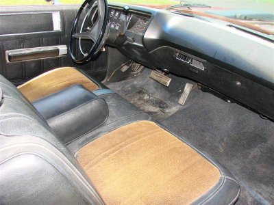 DSC01502 (Large).jpg