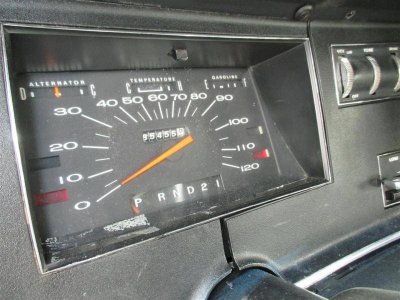 IMG_4073 (Large).jpg