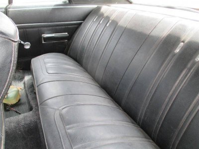 IMG_4075 (Large).jpg