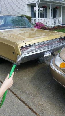 GardenHoseBandit.jpg GardenHoseBandit.jpg