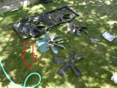 radiator.jpg radiator.jpg